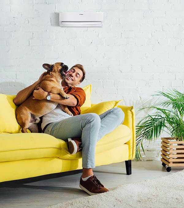 Happy man playing with french bulldog on sofa in living room